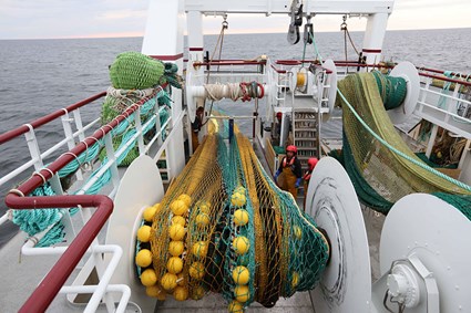 Rosebloom Deck 2 Web TL